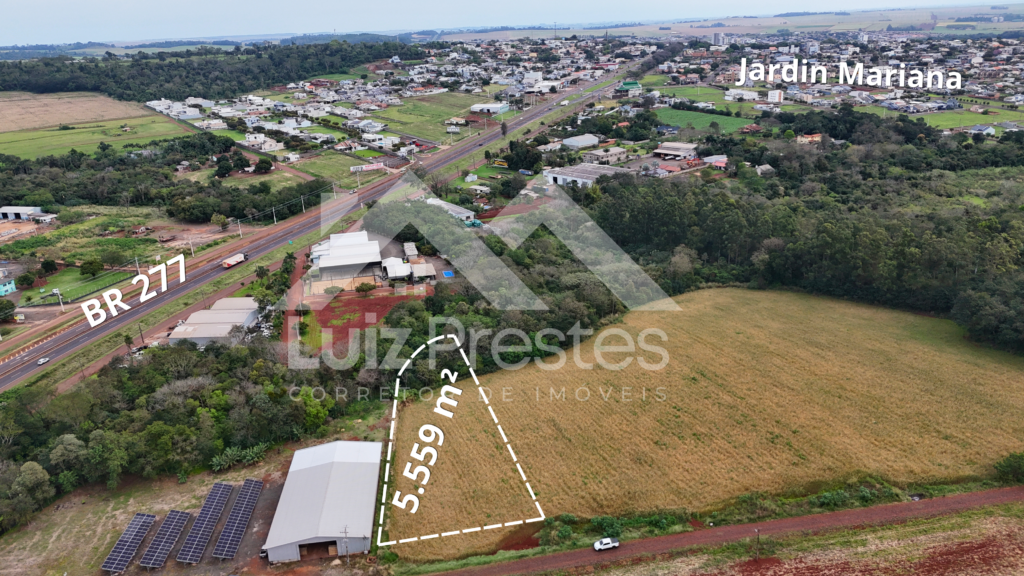 Chácaras na BR-277 – 2 de 1.000m² e uma 3.559m² – Barro Branco